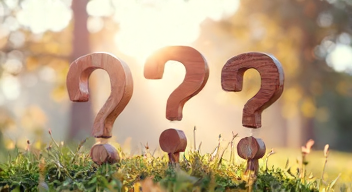 Die 5 meistgestellten Fragen (FAQ) zu Adoption